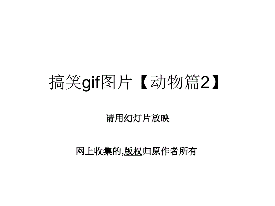 搞笑gif图片【动物篇2】_第1页