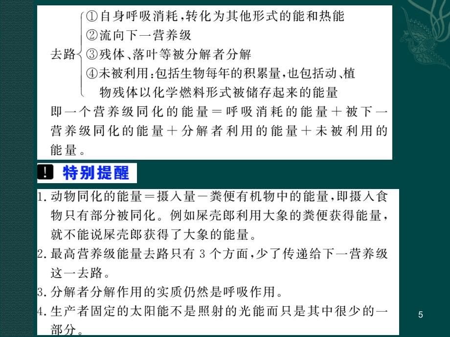 人教版教学课件生物人教版必修三52生态系统中的能量流动(课件)_第5页