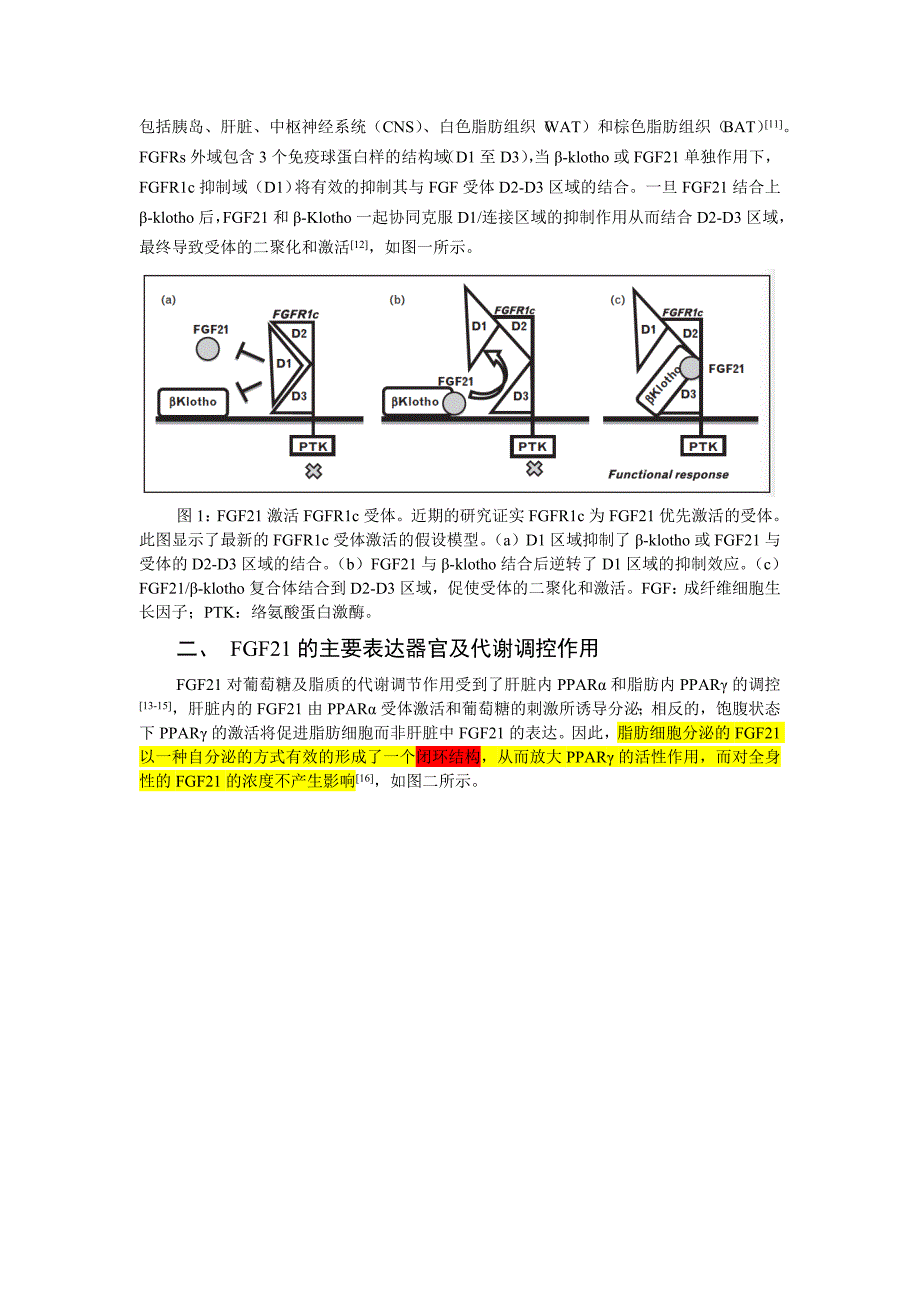 FGF21与内分泌代谢性疾病_第2页