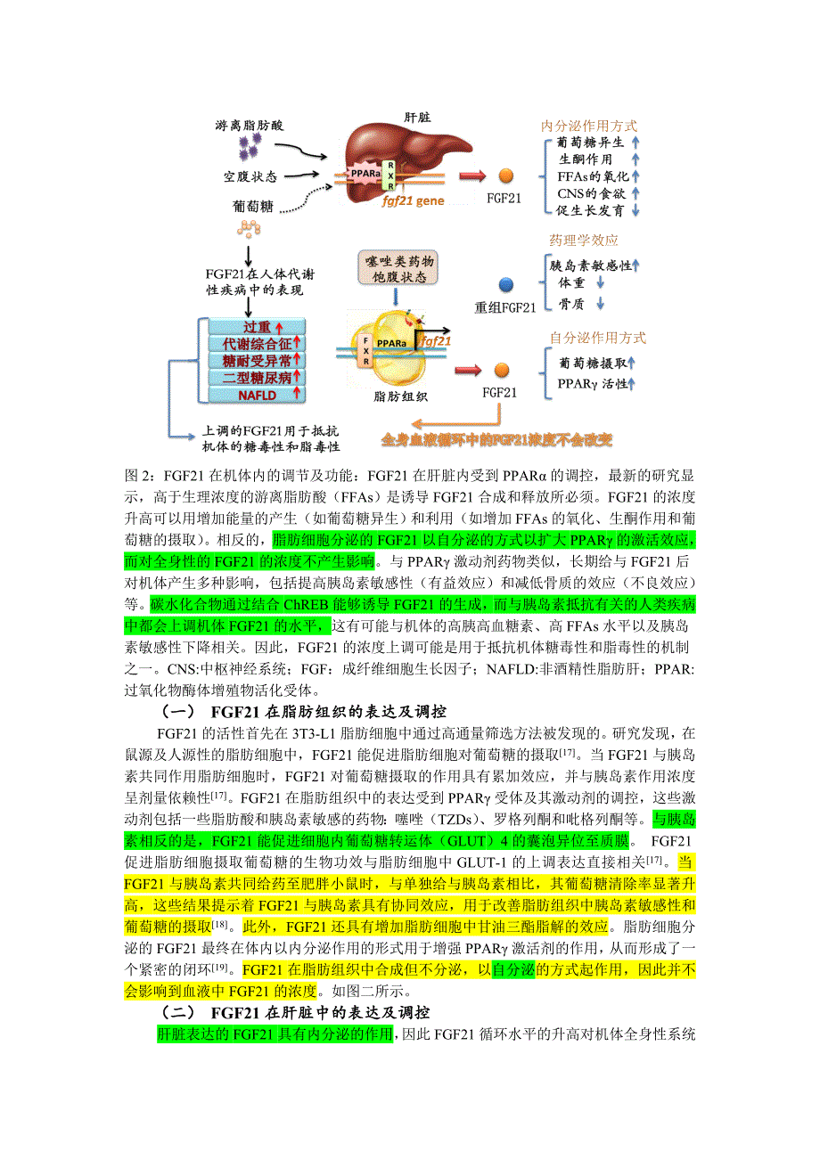 FGF21与内分泌代谢性疾病_第3页