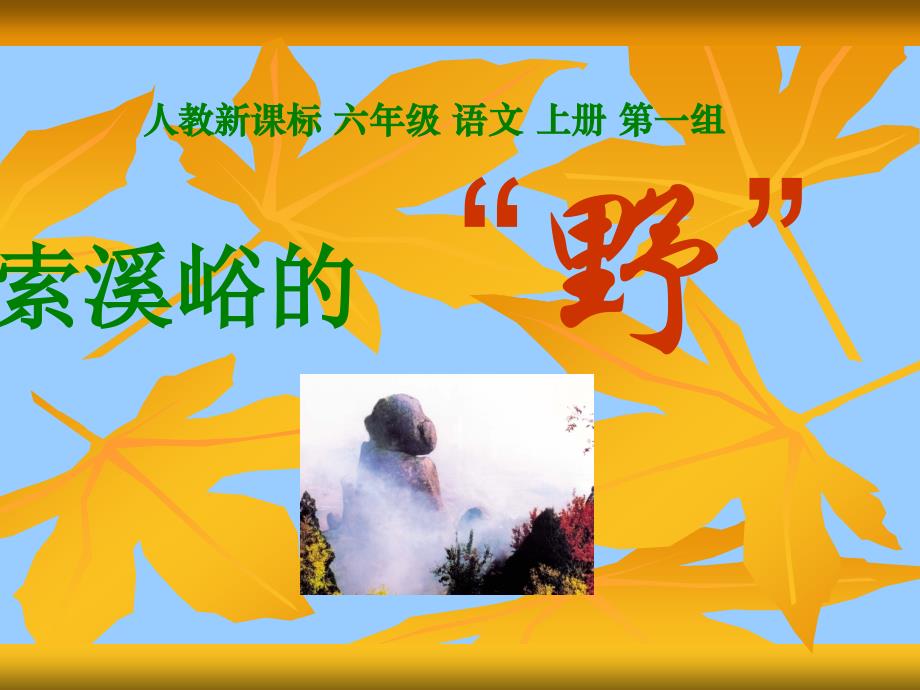 (人教新课标)六年级语文上册课件索溪峪的“野”5_第1页