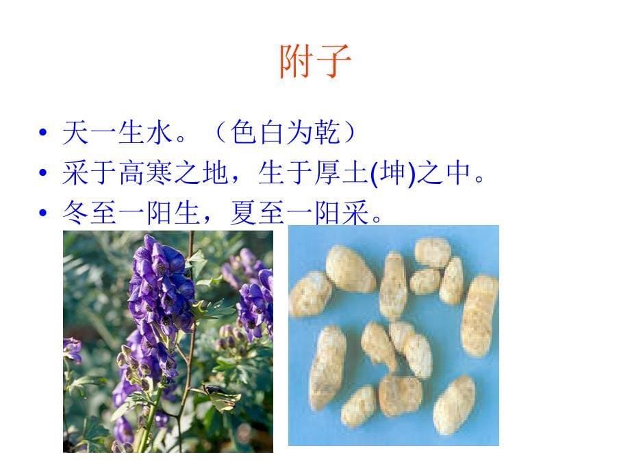 刘门用附子讲义(省中医)_第5页