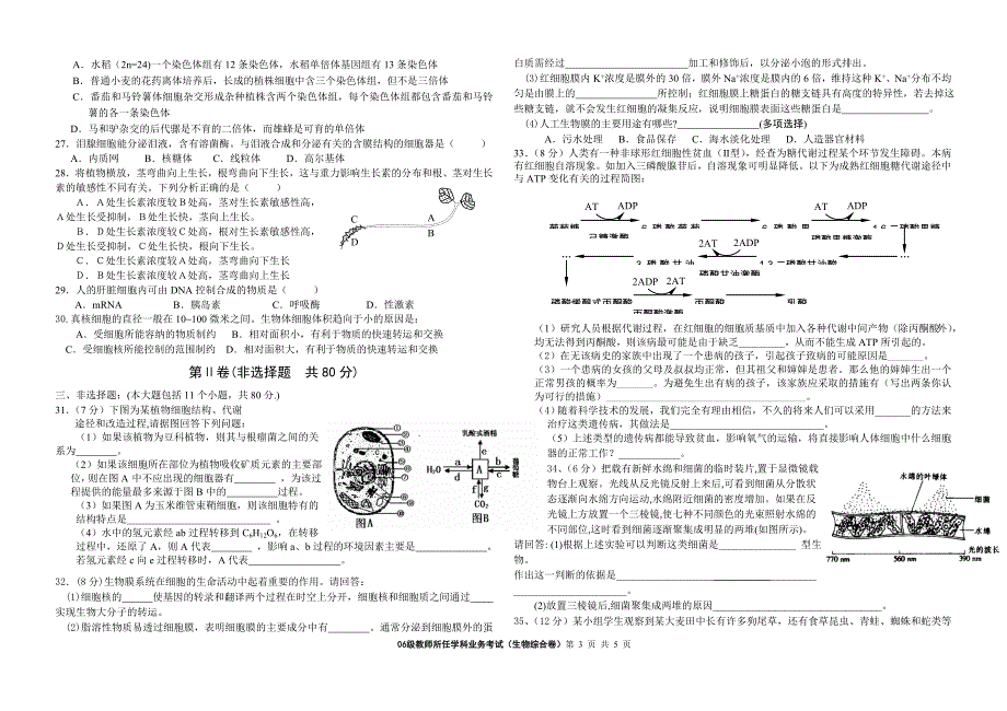 06级教师所任学科业务考试(生物综合卷)_第3页