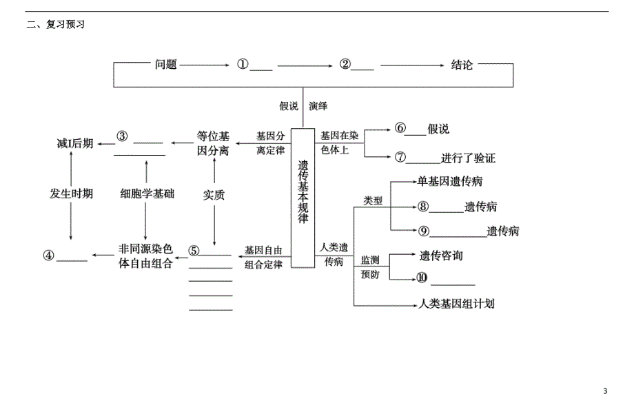 高三生物总复习 遗传的基本规律和伴性遗传教案_第3页