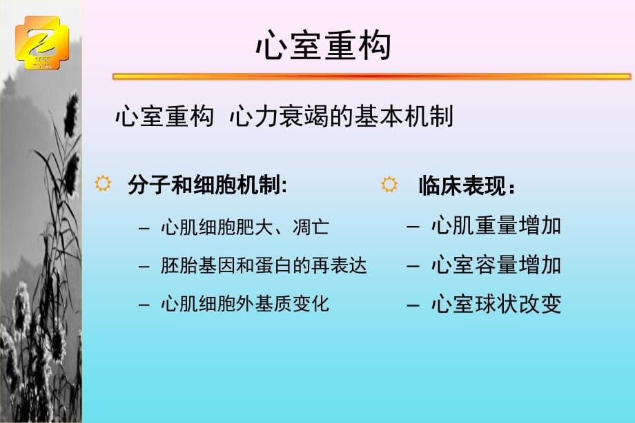 慢性心力衰竭2009最新进展_第5页