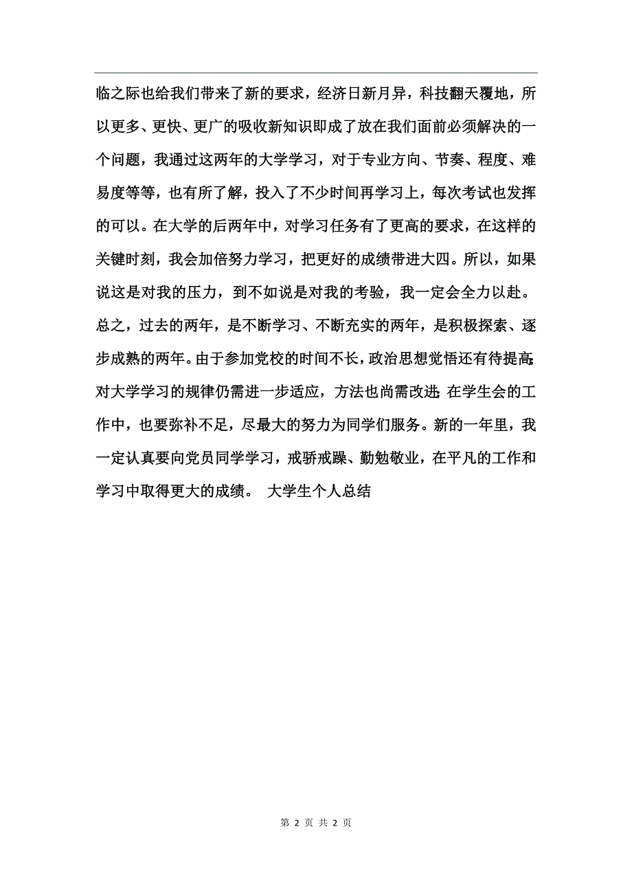 大学生个人总结工作总结_第2页