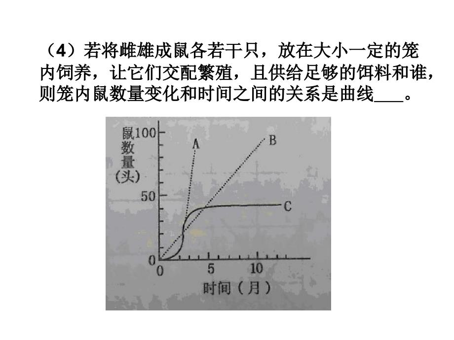 人教版教学课件甘肃省永昌县第一中学生物必修三《生态系统》课件_第4页