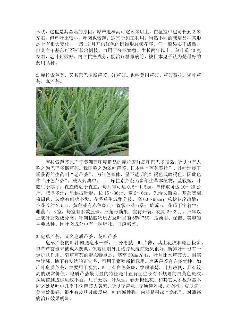 常见芦荟品种图片及相关简介_第2页