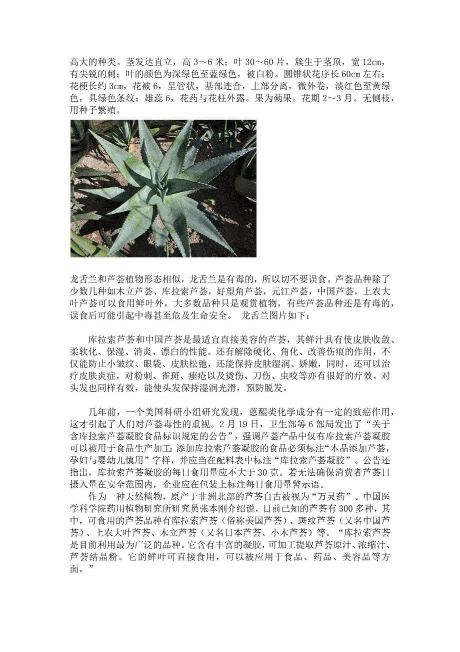 常见芦荟品种图片及相关简介_第5页