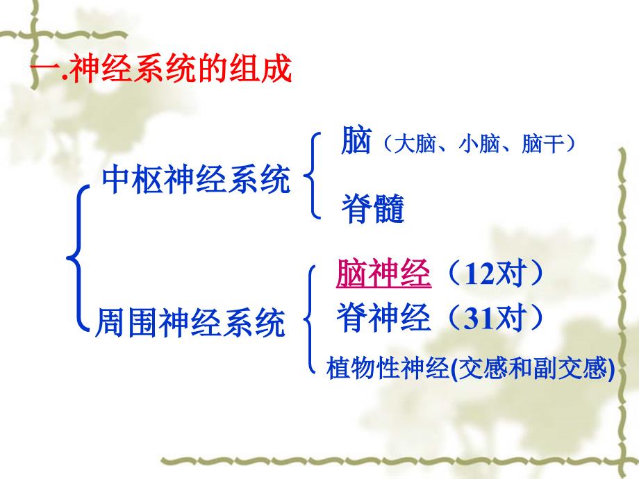 人教版教学课件高考生物一轮复习--人和高等动物的神经调节_第3页