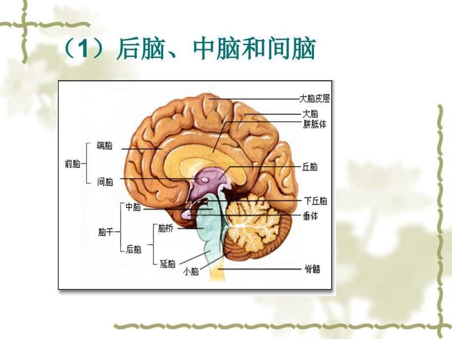 有关心理异常的理论模型_第5页