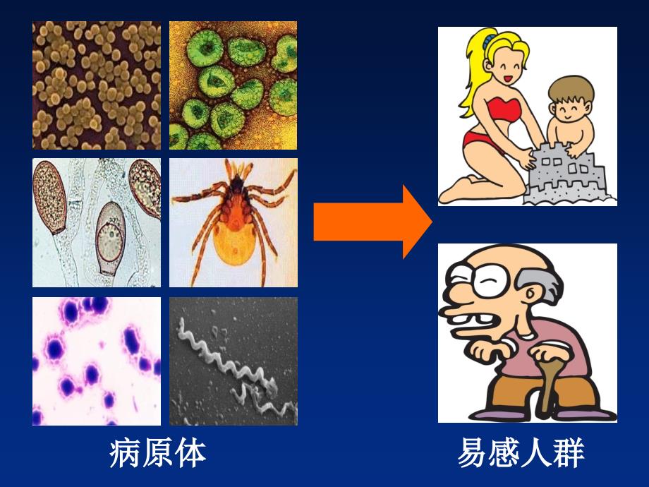 感染性疾病及免疫学检测_第3页