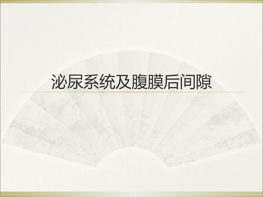 泌尿生殖系统和腹膜后间隙断层解剖_第1页