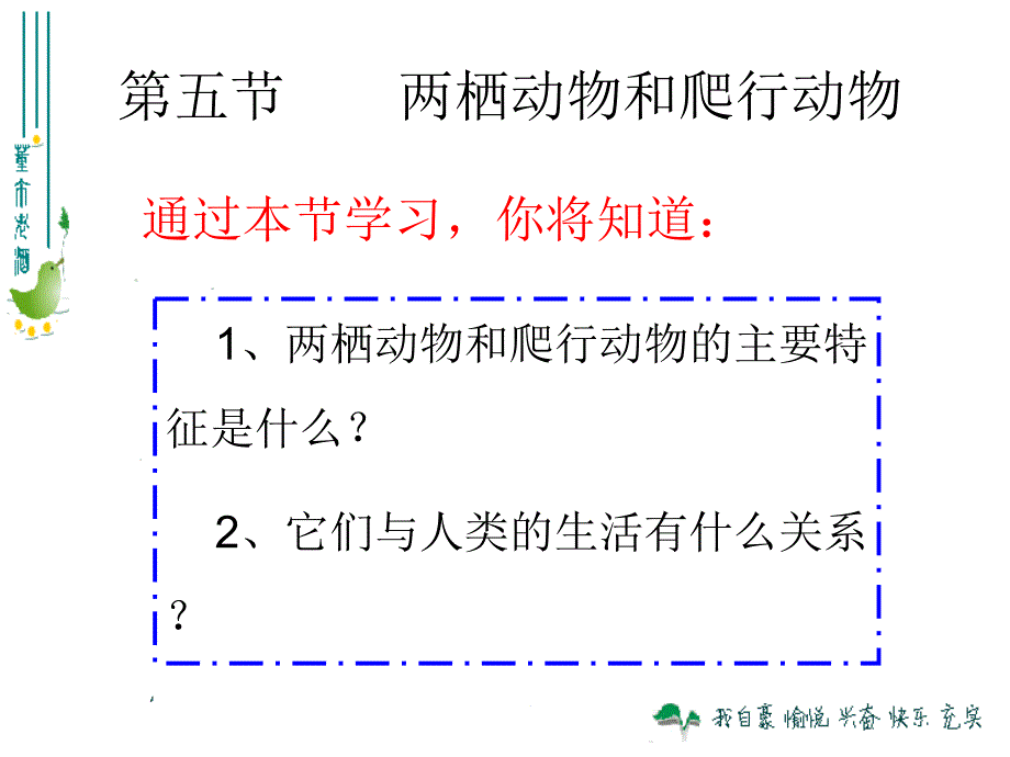 两栖动物和爬行动物3_第2页