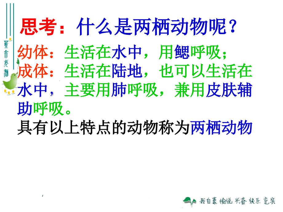 两栖动物和爬行动物3_第3页