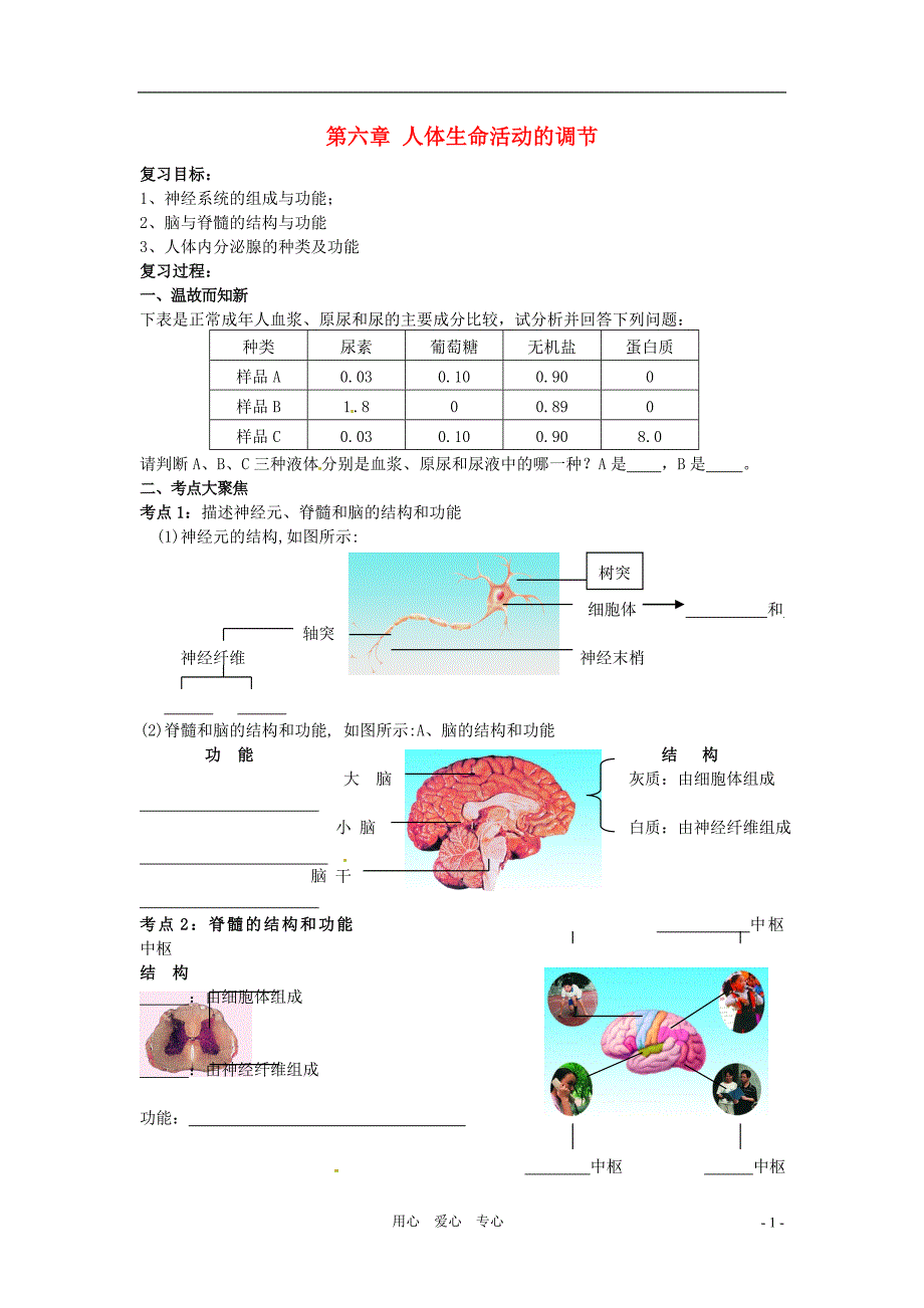 生物人体生命活动的调节复习学案(人教版七年级下)_第1页