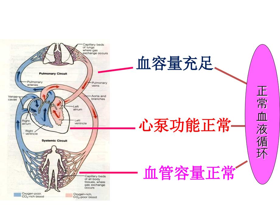 低血容量休克复苏指南及新进展_第3页