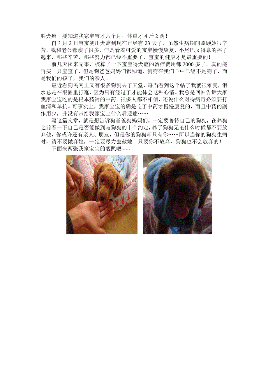 花木兰之“宝”将出马决战犬瘟_第3页