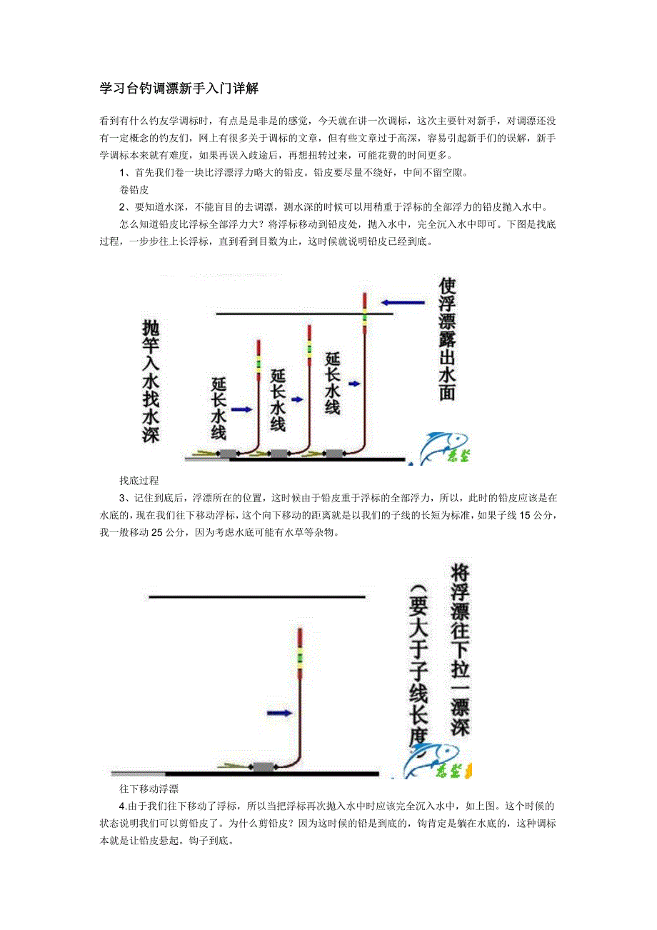 学习台钓调漂新手入门详解_第1页