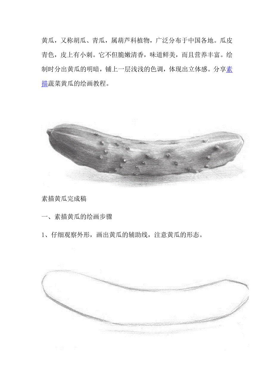 素描蔬菜黄瓜的绘画教程_第1页