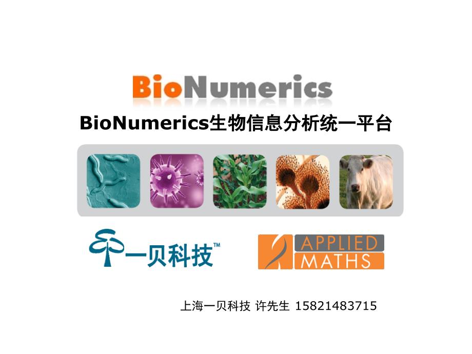 Bionumerics生物信息分析软件应用简介_第1页