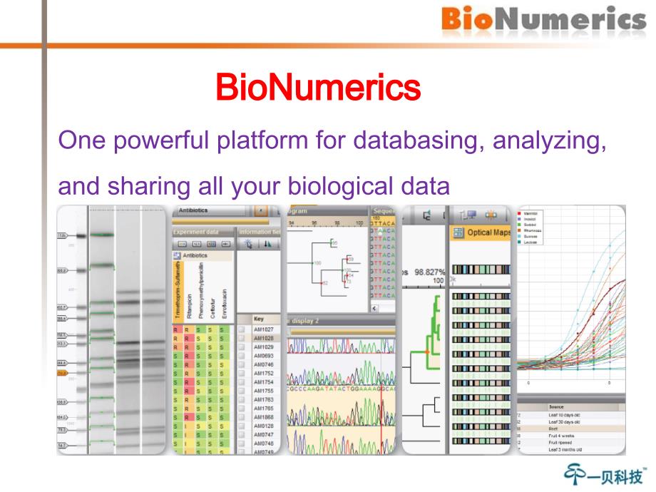 Bionumerics生物信息分析软件应用简介_第2页