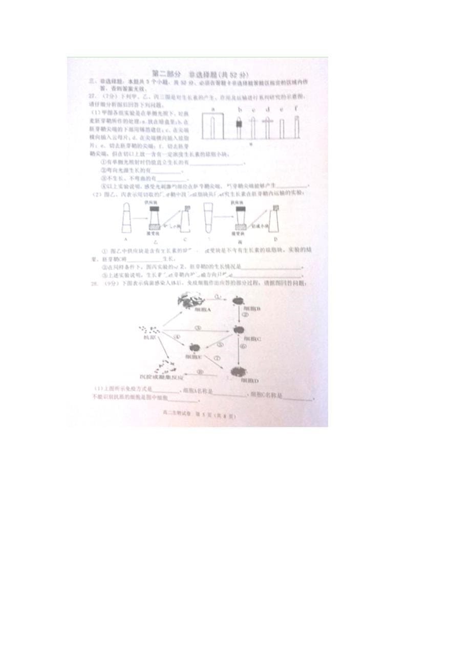 广东省清远市2014-2015学年高二上学期期末教学质量检测生物试题 扫描版含答案_第5页