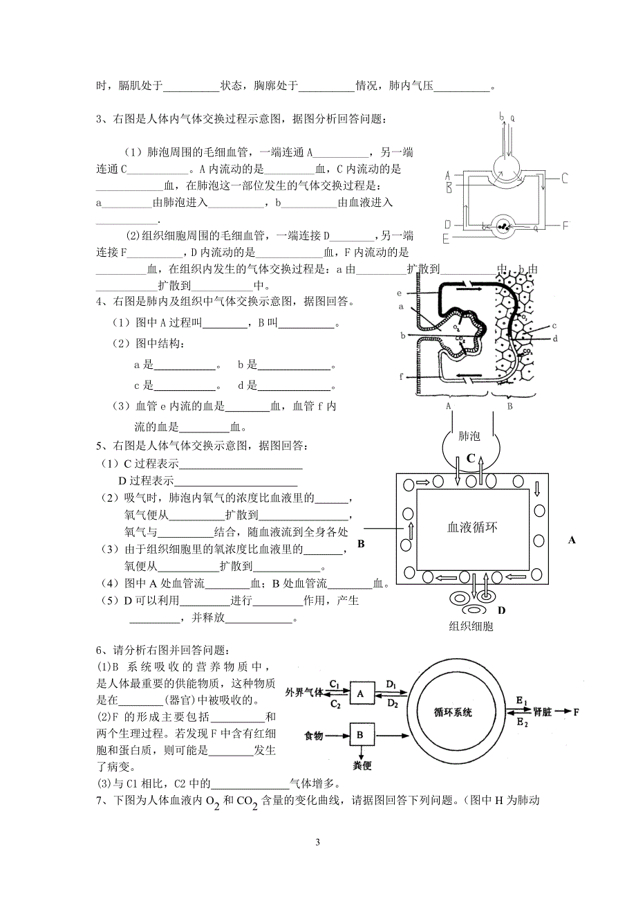 人体的呼吸知识点、习题复习_第3页