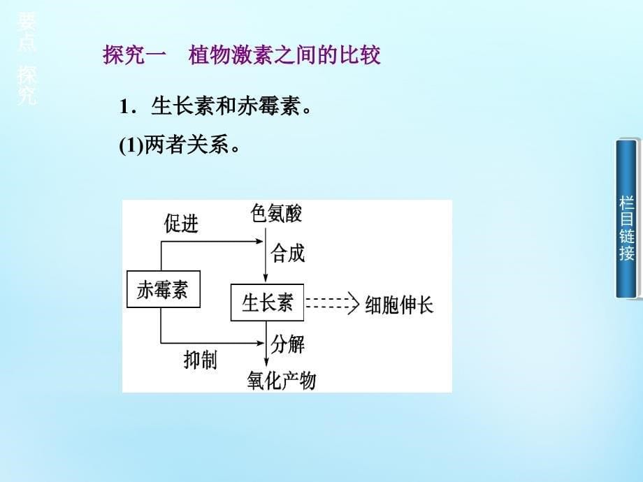 2015-2016高中生物 3.3其他植物激素课件 新人教版必修3_第5页