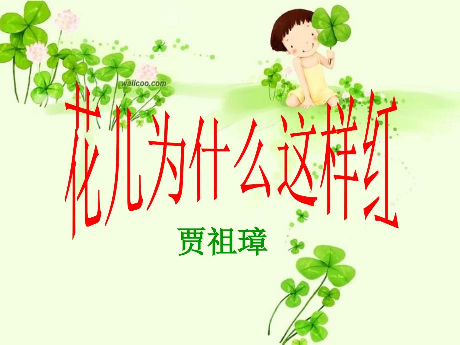 鲁教版《花儿为什么这样红》课件6_第1页