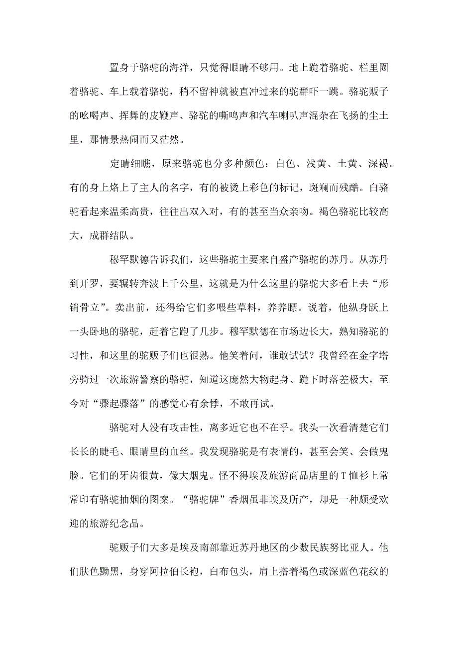 在埃及数骆驼阅读答案_第2页