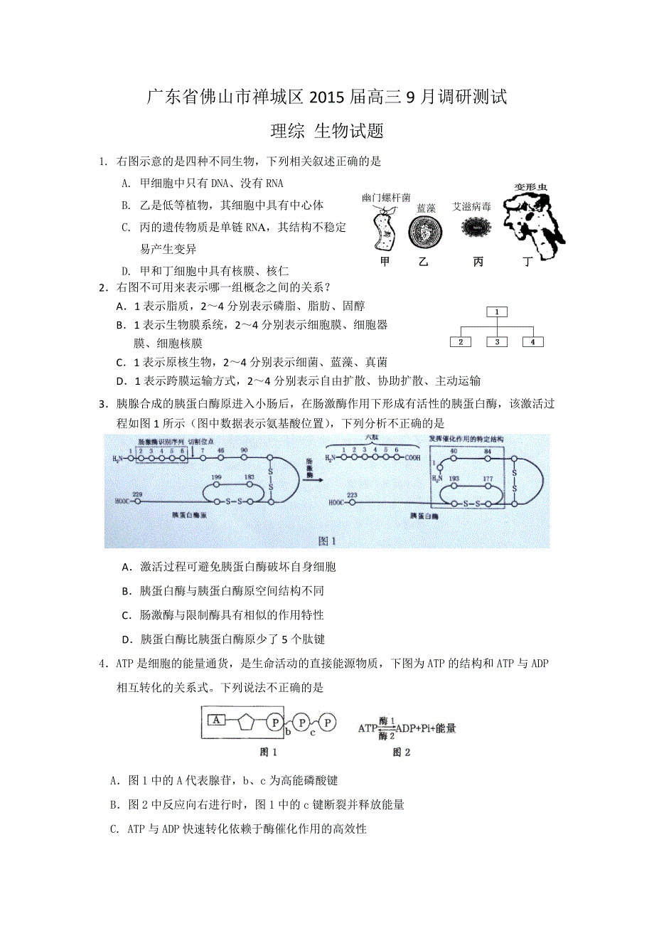 广东省佛山市禅城区2015届高三9月调研测试生物试题 含答案_第1页