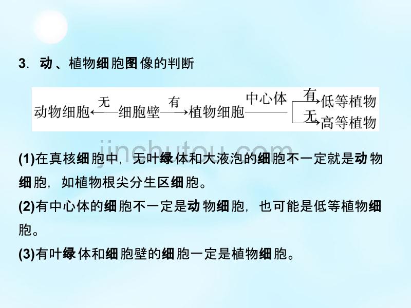 2015年高中生物 第三章 细胞的基本结构章末高效整合课件 新人教版必修1_第5页