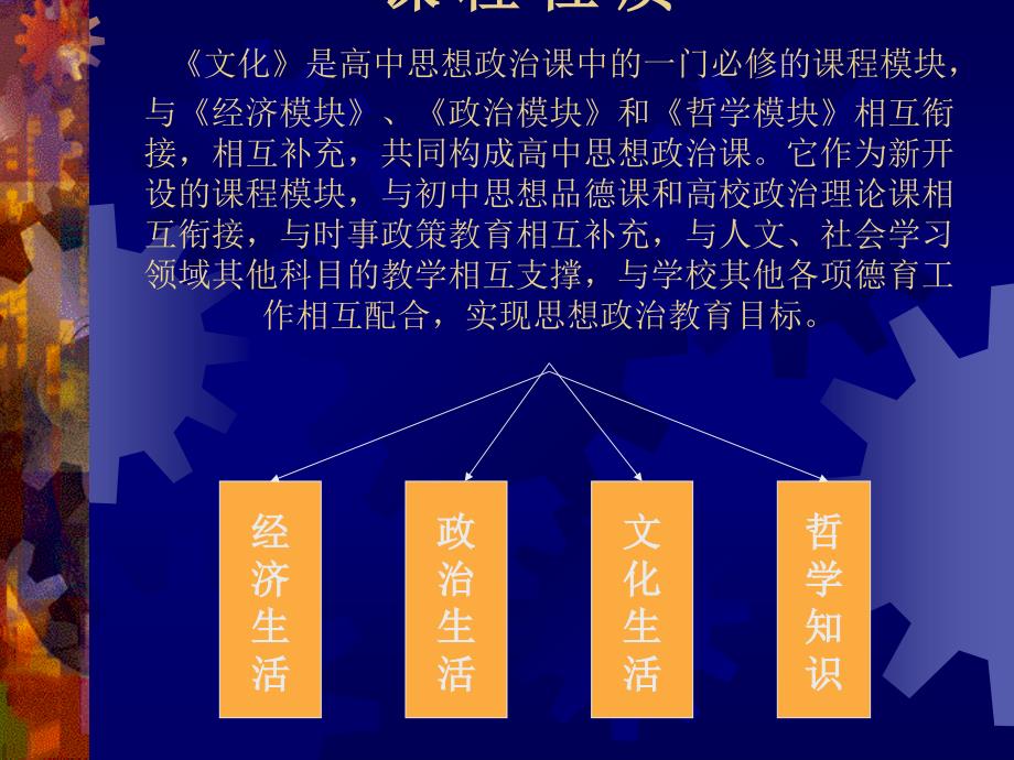 高中思想政治《文化》课程标准_第4页