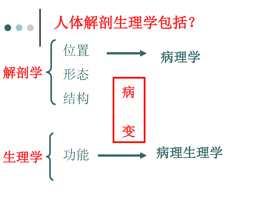 血液组成及功能(高职)_第3页