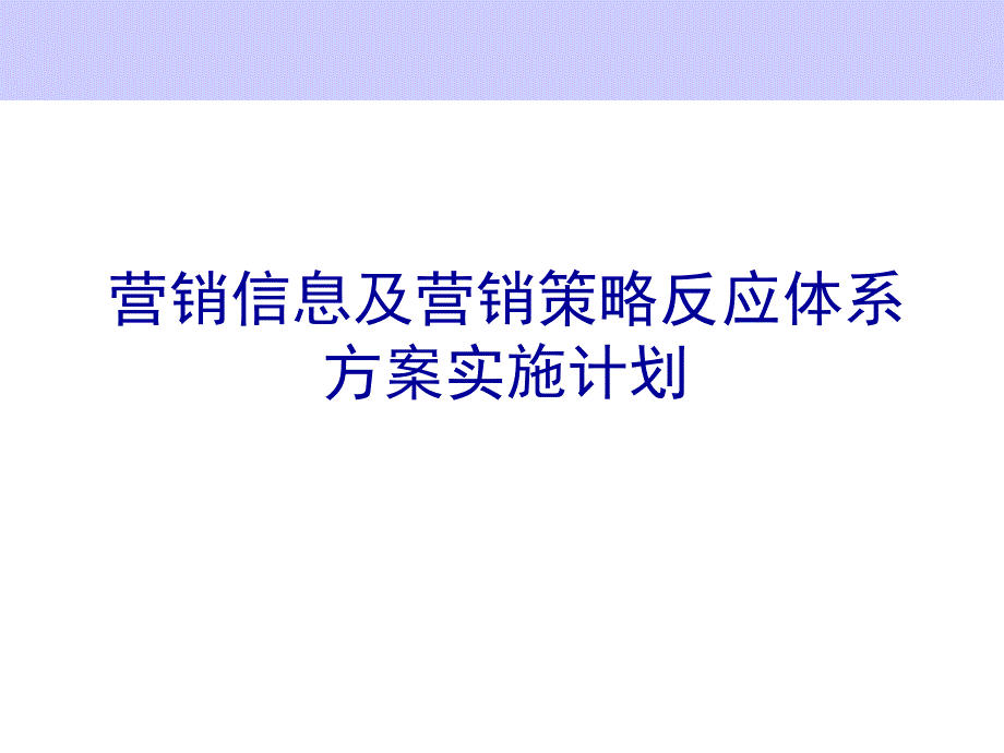 营销信息及营销策略体系实施计划书_第1页