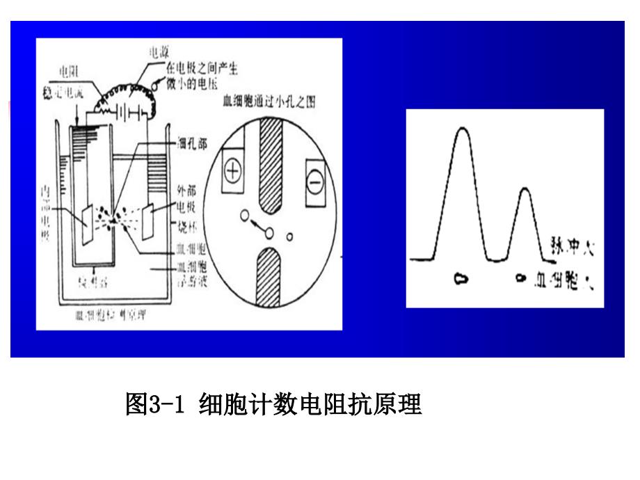 血液分析仪及临床应用_第3页