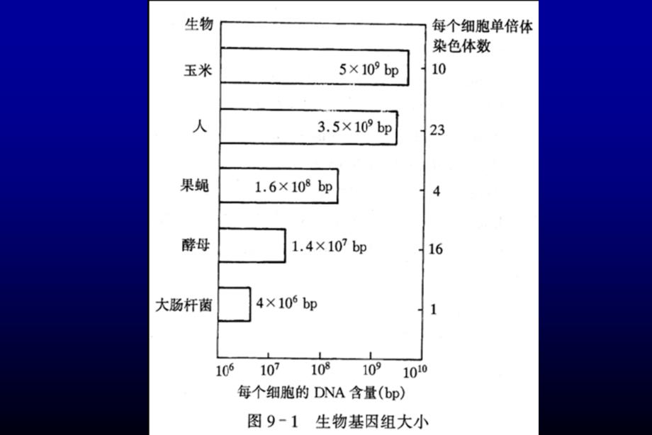 基因在大肠杆菌酵母中的高效表达_第2页