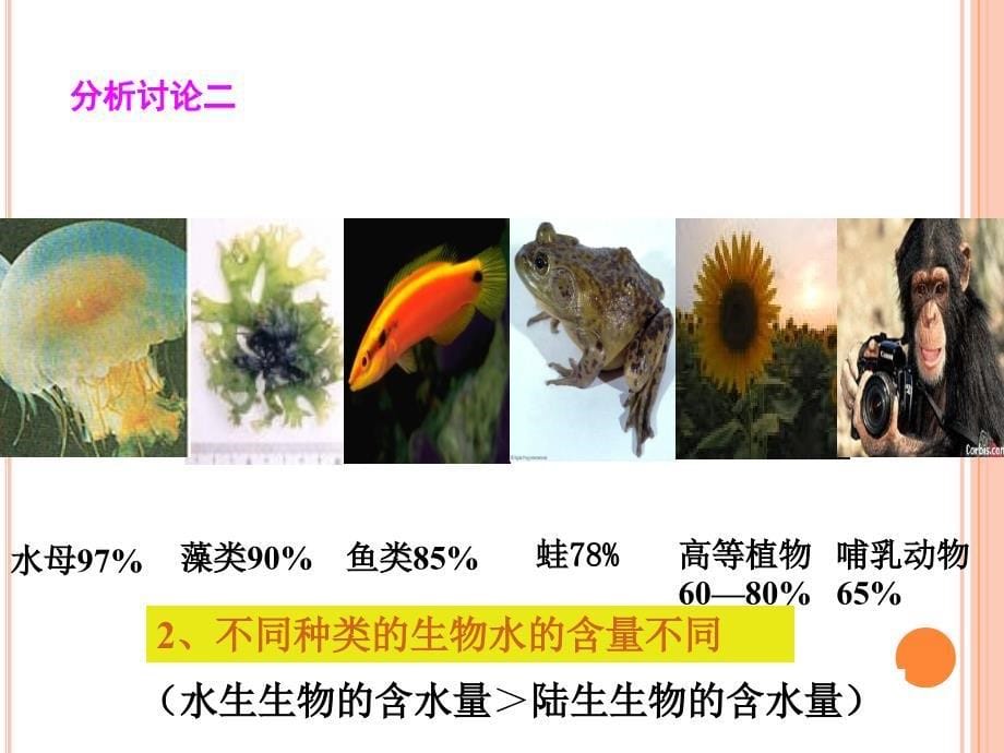 组成细胞的分子--细胞中的无机物(可用)_第5页