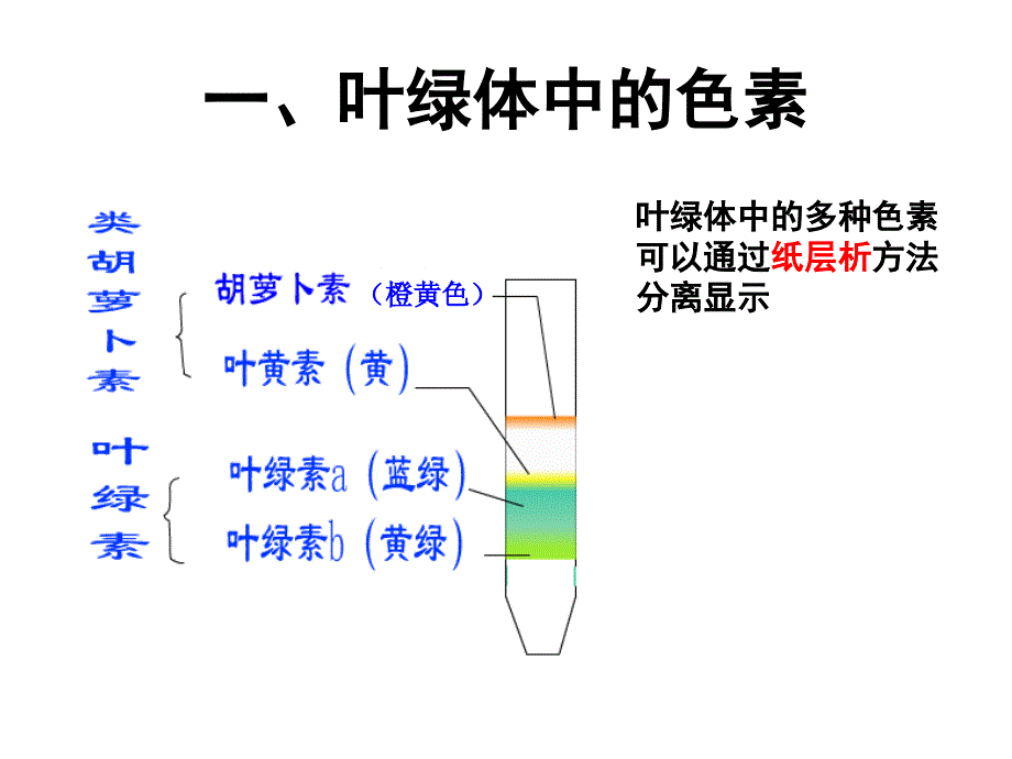 高中生物光合作用的过程_第3页