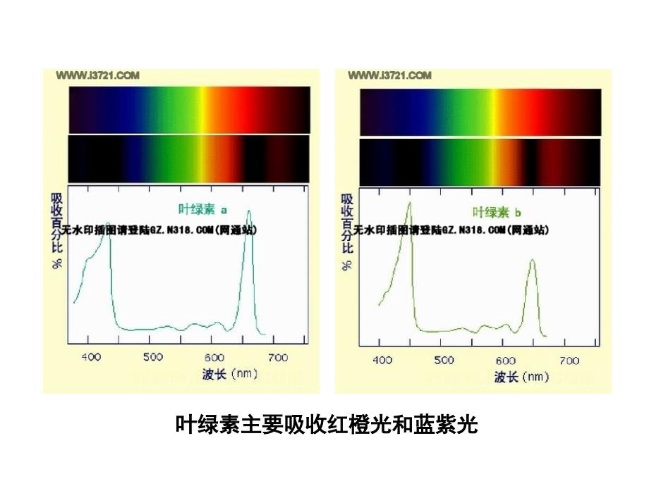 高中生物光合作用的过程_第4页