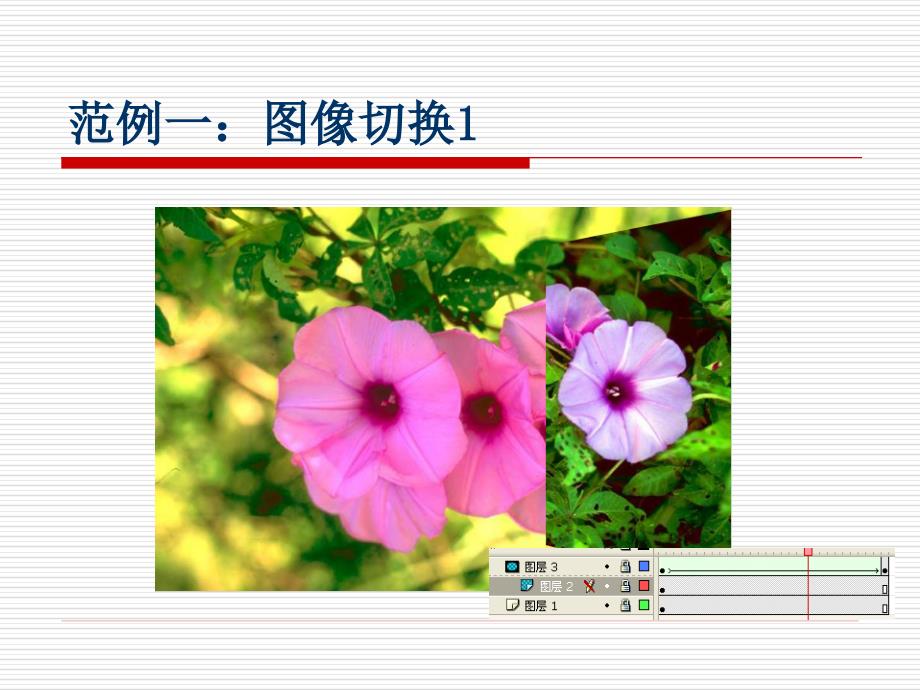 计算机动画flash cs3 chaper_4_第4页