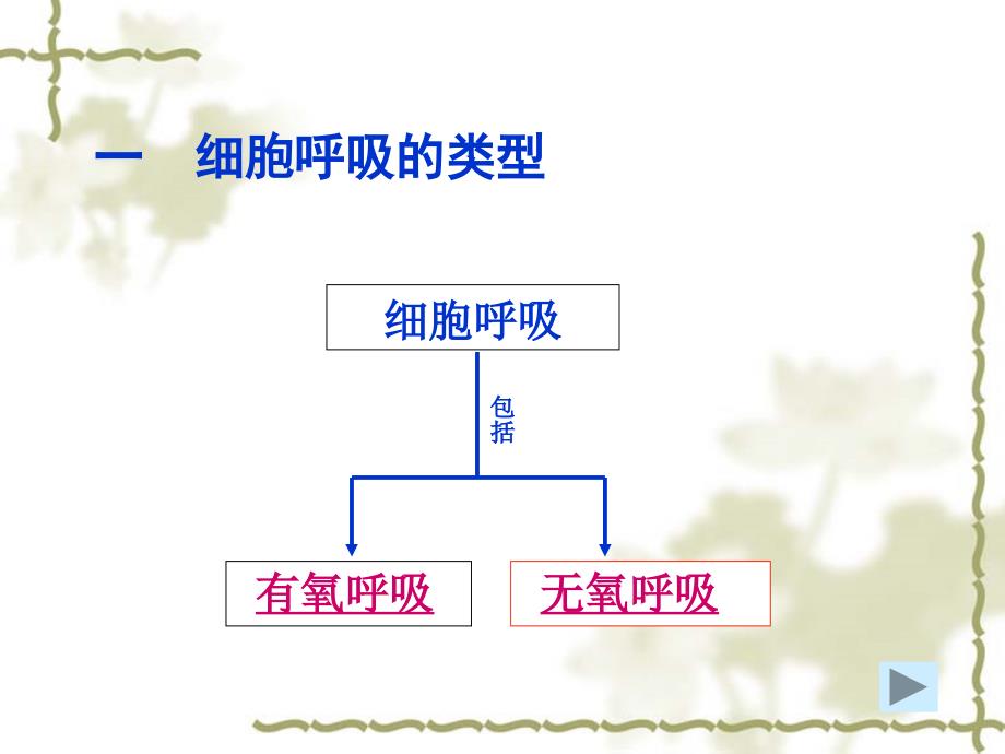 有氧呼吸和无氧呼吸的区别图_第4页