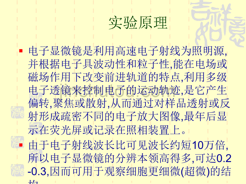 细胞的超微结构-电子显微镜下的细胞_第3页