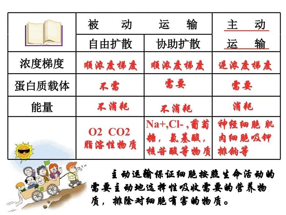 生命的结构基础(学生版)_第5页