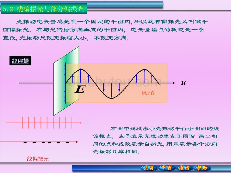 线偏振光与部分偏振光_第1页