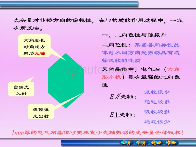 线偏振光与部分偏振光_第4页