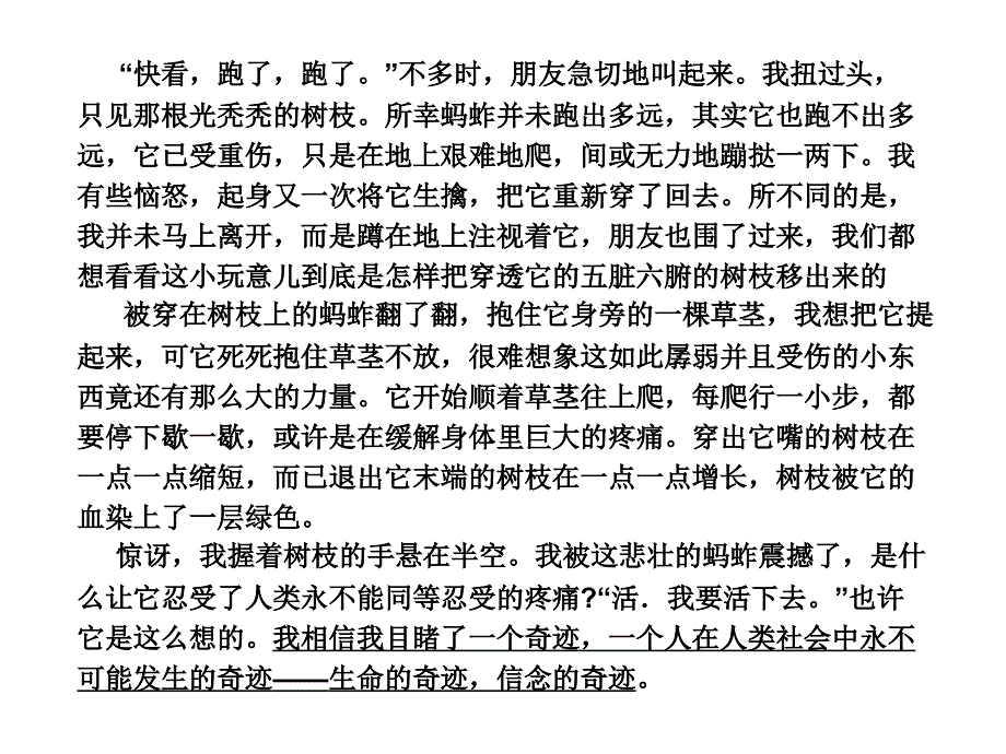 以尊重为话题的作文示范_第4页