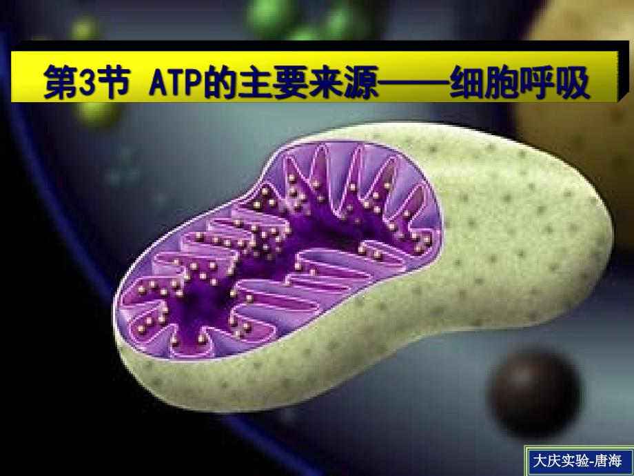 生物5.3《ATP的主要来源—细胞呼吸》课件(新人教版必修1)_第1页