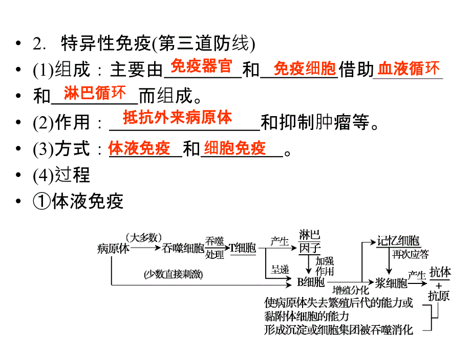 人教版教学课件高中生物人教版必修3《免疫调节》课件_第4页